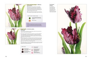 Sample content 2_The Modern Flower Painter