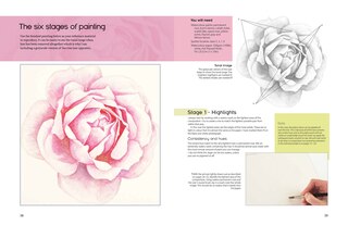 Sample content 5_The Modern Flower Painter
