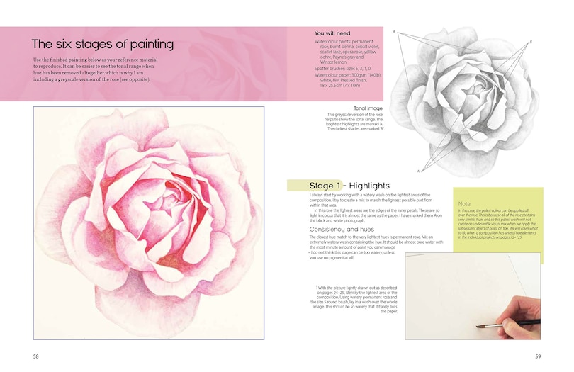 Sample content 5_The Modern Flower Painter