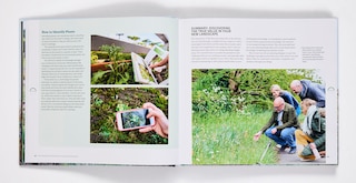 Sample content 2_The Modern Professional Planting Designer