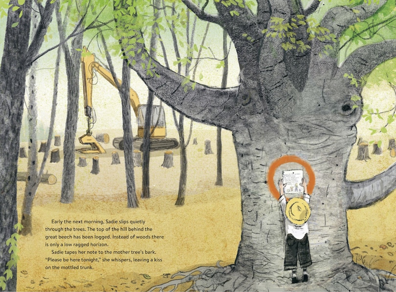 Sample content_The Mother Tree