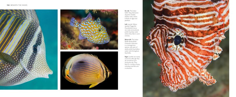 Aper&ccedil;u du contenu_The Natural Wonders of Seychelles