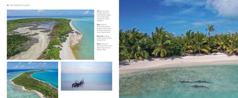 Aper&ccedil;u du contenu 3_The Natural Wonders of Seychelles