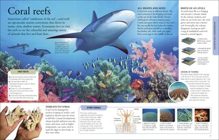 Sample content 2_The New Children's Encyclopedia