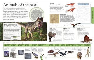 Sample content 3_The New Children's Encyclopedia