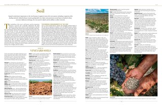Sample content 2_The New Sotheby's Wine Encyclopedia
