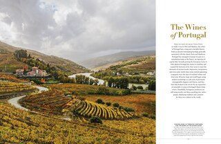 Sample content 5_The New Sotheby's Wine Encyclopedia