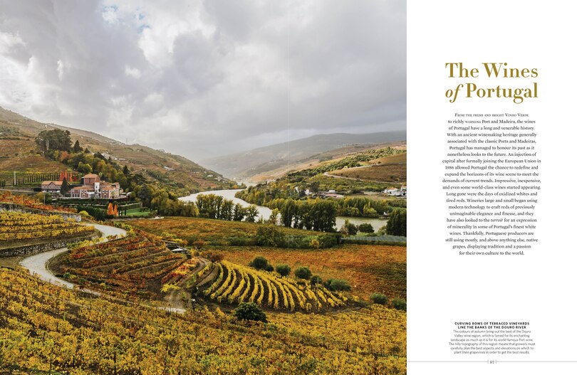 Sample content 5_The New Sotheby's Wine Encyclopedia