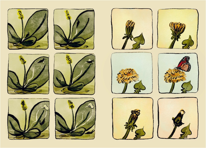 Aperçu du contenu 2_The Newest Gnome