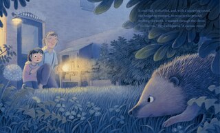Sample content 2_The Night of the Hedgehog