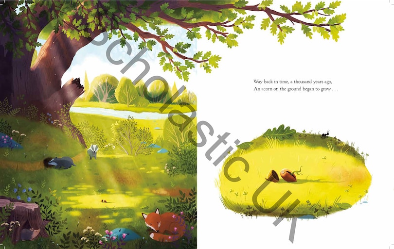 Sample content 3_The Oak Tree