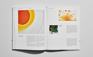 Sample content 2_The Ordinary