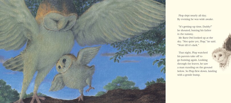 Sample content 3_The Owl Who Was Afraid of the Dark Collector’s Edition