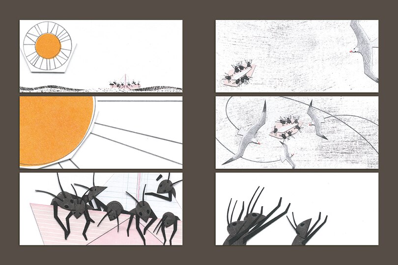 Sample content 5_The Paper Boat