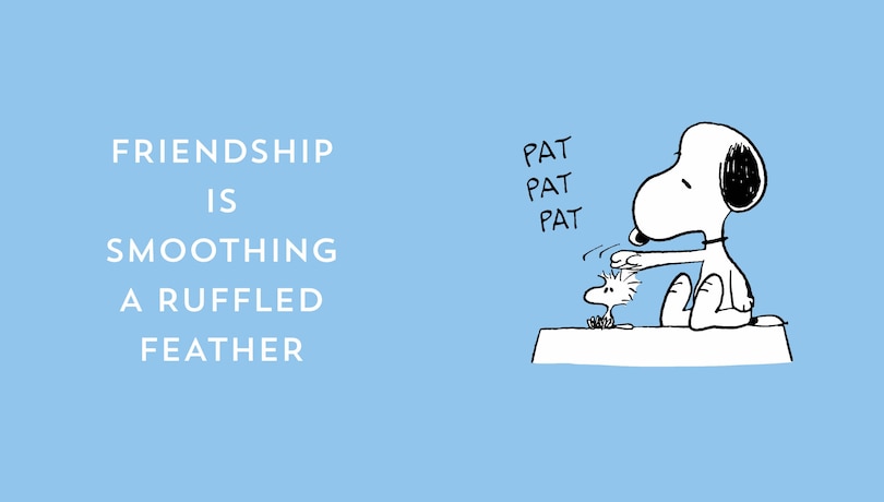 Aperçu du contenu 2_The Peanuts Guide to Friendship
