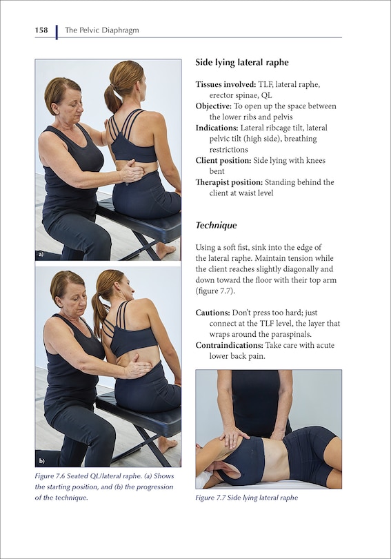 Aper&ccedil;u du contenu_The Pelvic Diaphragm