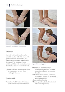 Aper&ccedil;u du contenu 2_The Pelvic Diaphragm