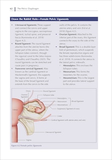 Aper&ccedil;u du contenu 3_The Pelvic Diaphragm