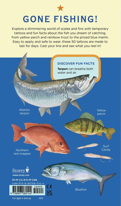 Back cover_The Perfect Catch of Tattoo Fish