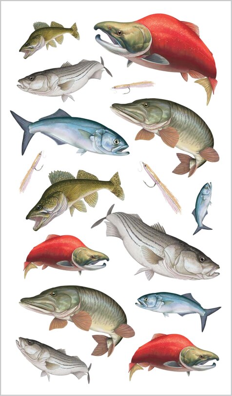 Sample content_The Perfect Catch of Tattoo Fish