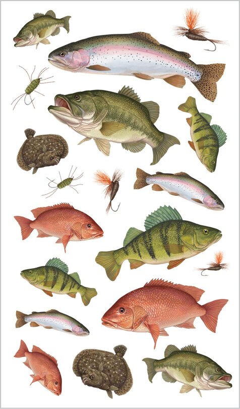 Sample content 2_The Perfect Catch of Tattoo Fish