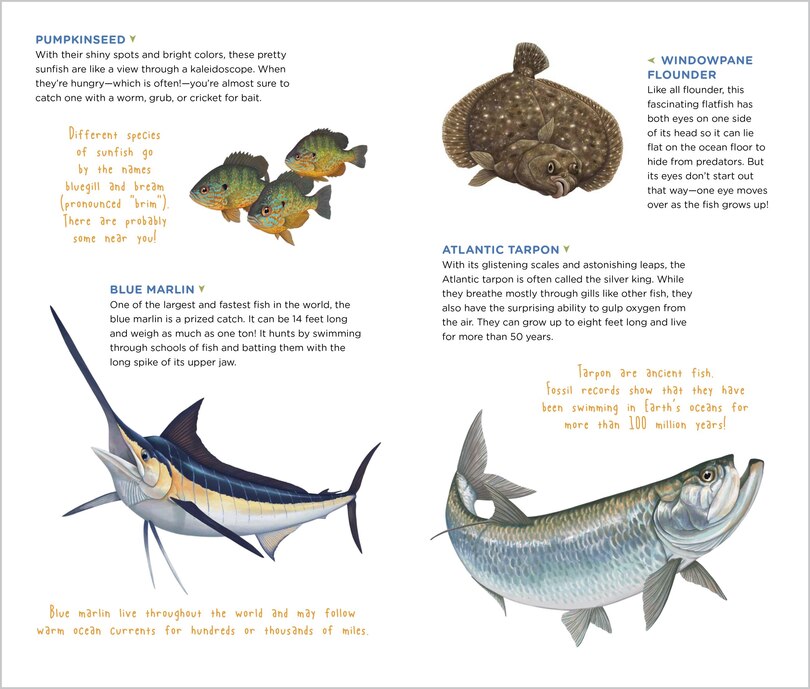 Sample content 3_The Perfect Catch of Tattoo Fish