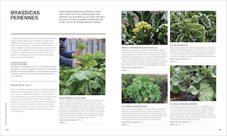 Sample content 2_The Permaculture Garden (Spanish Edition)