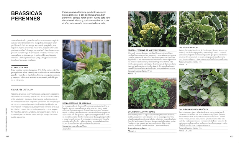 Sample content 2_The Permaculture Garden (Spanish Edition)