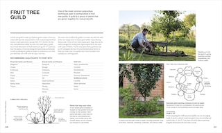 Sample content_The Permaculture Garden