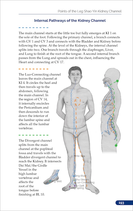Sample content_The Pocket Atlas of Acupuncture Points