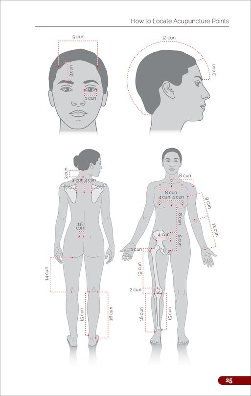 Sample content 4_The Pocket Atlas of Acupuncture Points