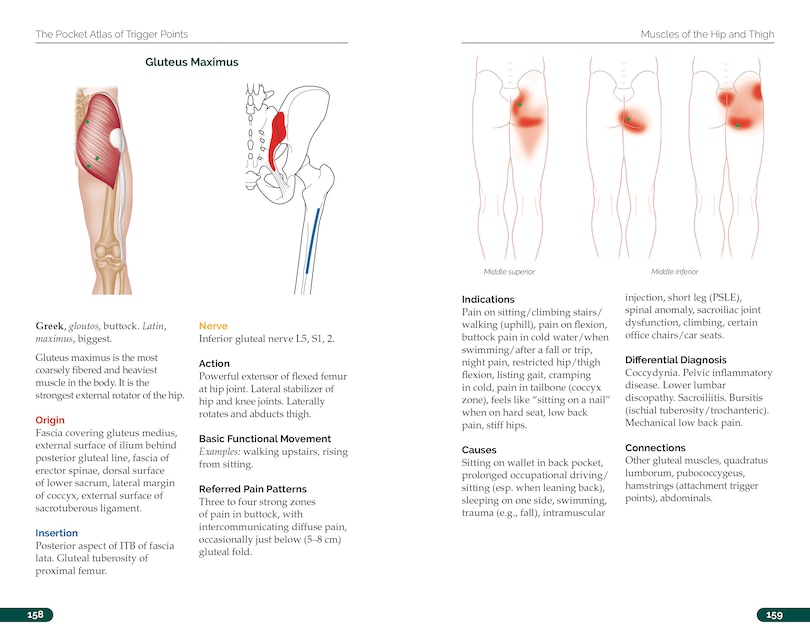 Aperçu du contenu 5_The Pocket Atlas of Trigger Points