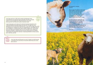 Sample content 5_The Poetry Business School: Poems to change your life – poetry for life, business, and inspiration