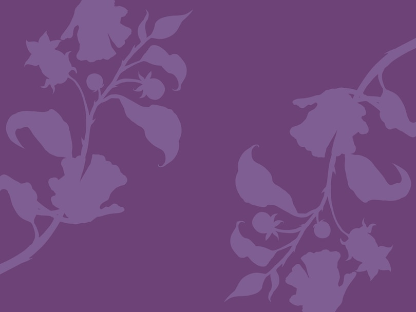 Sample content_The Poison Daughter