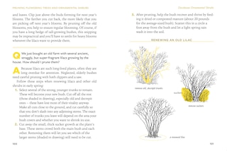 Aper&ccedil;u du contenu 3_The Pruning Answer Book