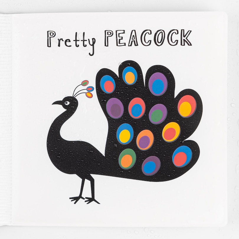 Sample content 2_The Rainbow Snail and Friends