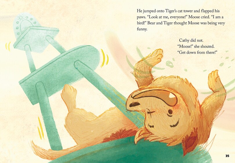 Aper&ccedil;u du contenu 5_The Rescues Three Wishes (The Rescues #3)