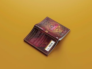 Aper&ccedil;u du contenu 3_The Rising