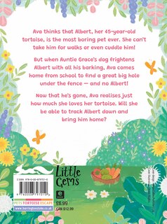 Back cover_The Runaway Tortoise