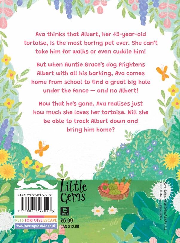 Back cover_The Runaway Tortoise