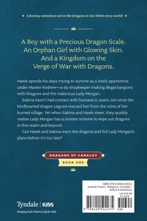 Back cover_The Sacred Scales