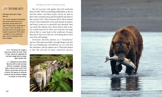 Sample content_The Salmon Bears