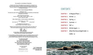 Table of contents_The Salmon Bears