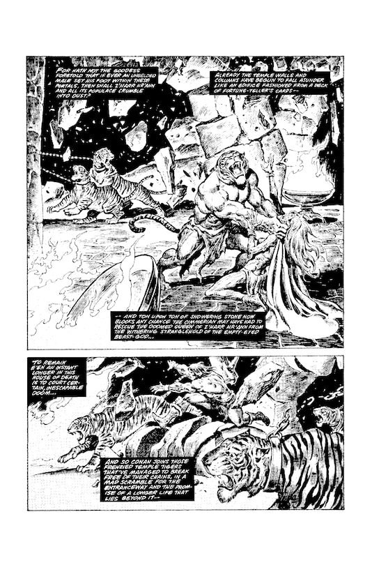 Aperçu du contenu 4_The Savage Sword Of Conan: The Original Comics Omnibus Vol.5