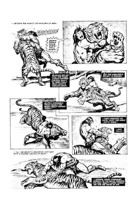 Aperçu du contenu 5_The Savage Sword Of Conan: The Original Comics Omnibus Vol.5