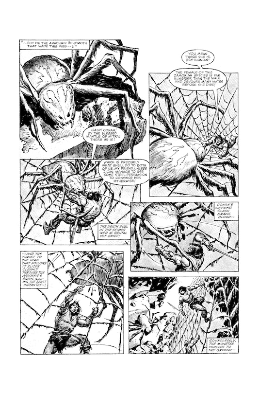 Sample content 3_The Savage Sword Of Conan: The Original Comics Omnibus Vol.6