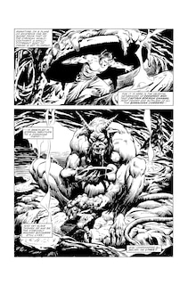 Aperçu du contenu_The Savage Sword Of Conan: The Original Comics Omnibus Vol.7