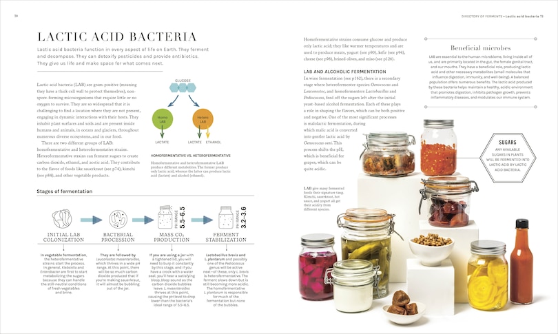 Sample content 4_The Science of Fermentation