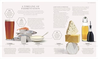 Sample content 5_The Science of Fermentation