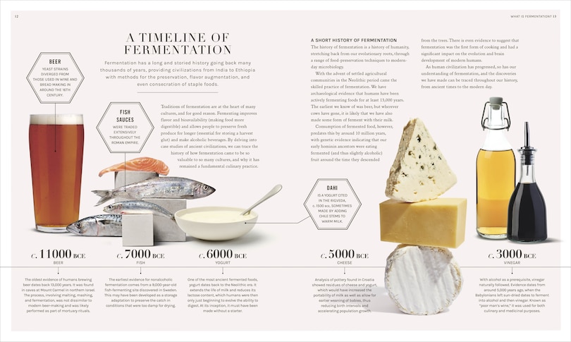 Sample content 5_The Science of Fermentation